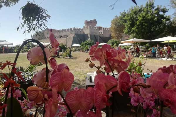 Castello di Santa Severa, tra visite guidate e terme in fiore