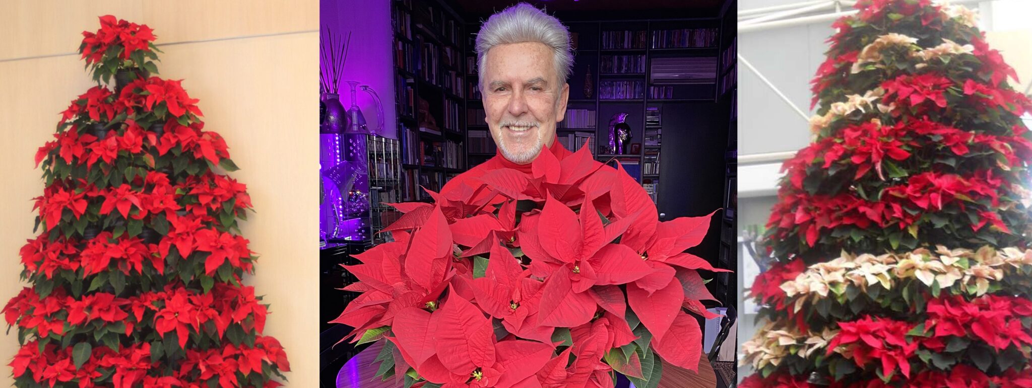 Alviero Martini- I fiori di Natale