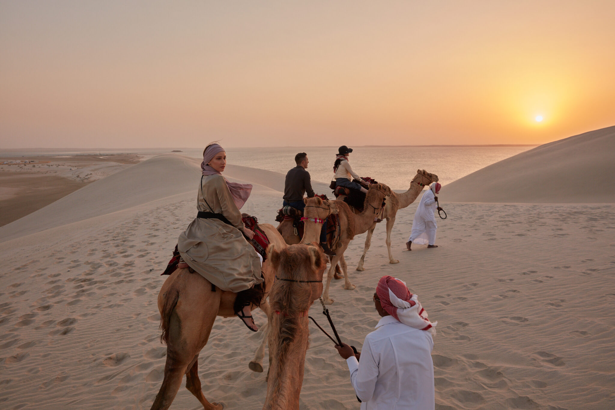 Qatar- L’arrivo dei cuccioli di cammello