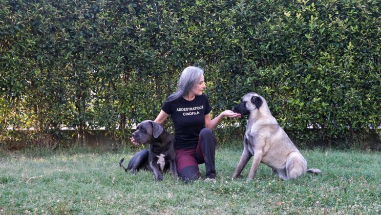 Cani sempre più stressati con il caldo